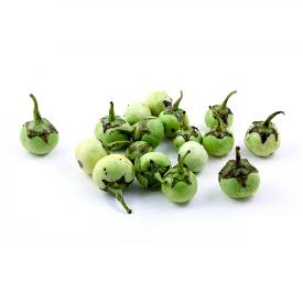 Hạt giống cà pháo xanh - Ảnh 1